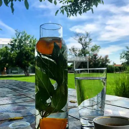 House Feriested Mokrin