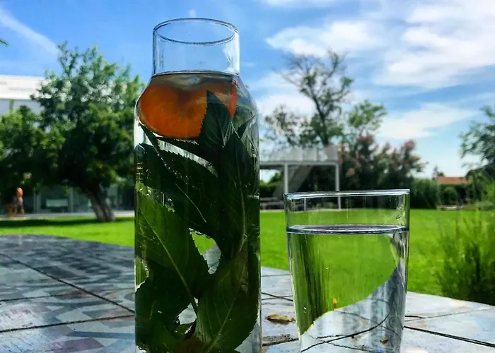 House Pribjeći Mokrin